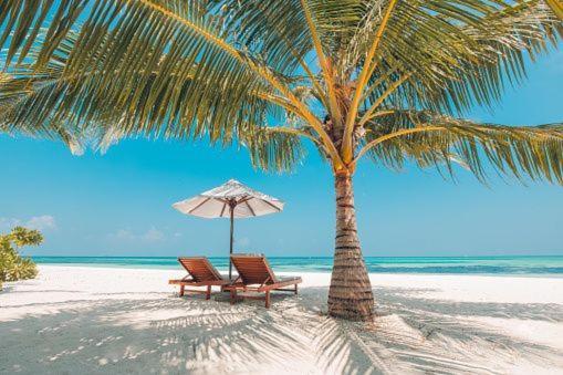 Gorgeous Beachy Chic Condo In Key Biscayne Miami Exteriör bild